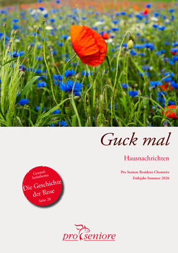 PDF Vorschau